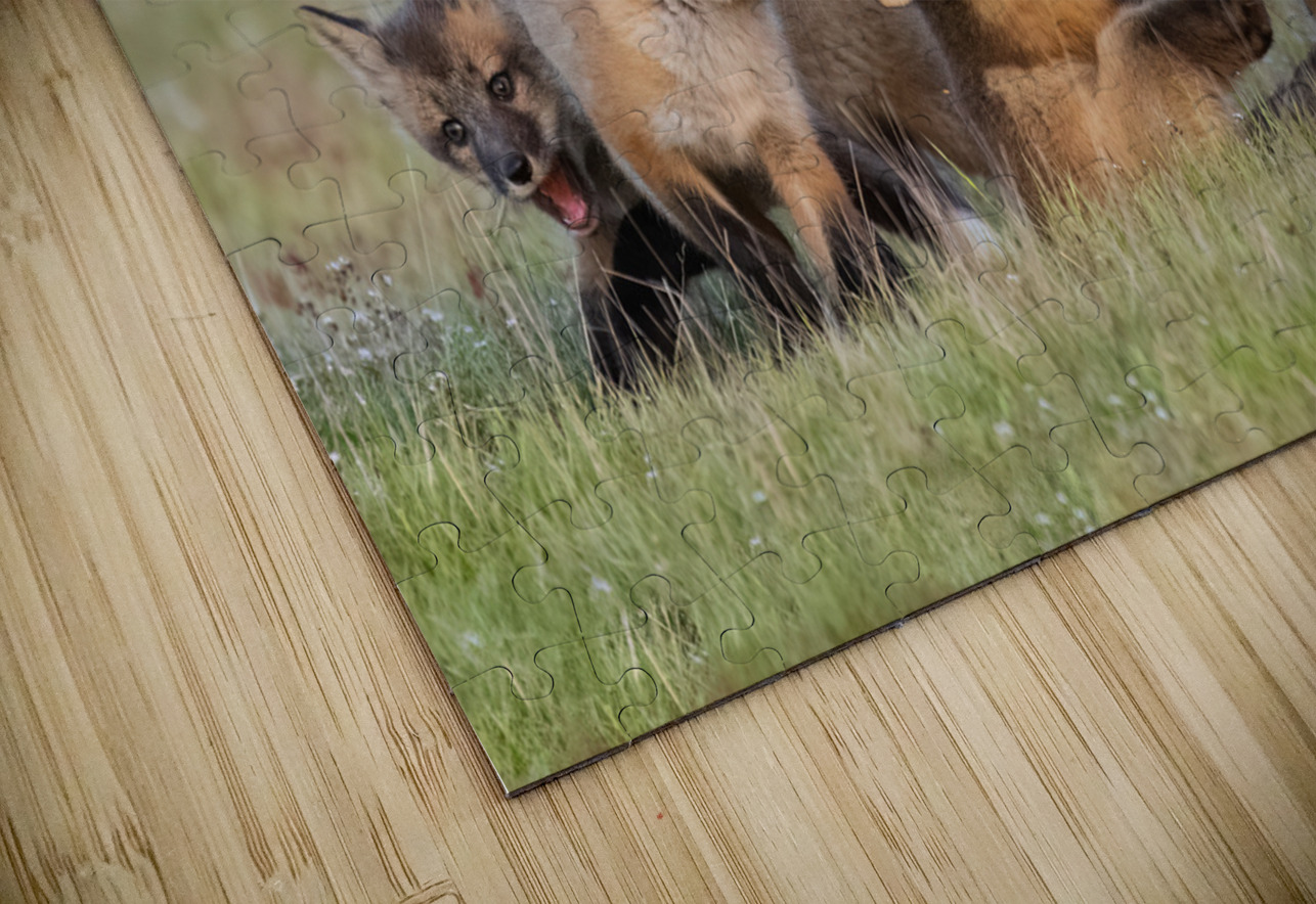 Red Fox Kits Randy Tremblay Photography Puzzle