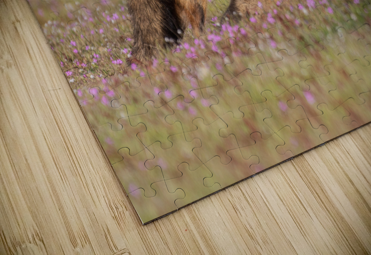 Red Fox with Kits Randy Tremblay Photography Puzzle