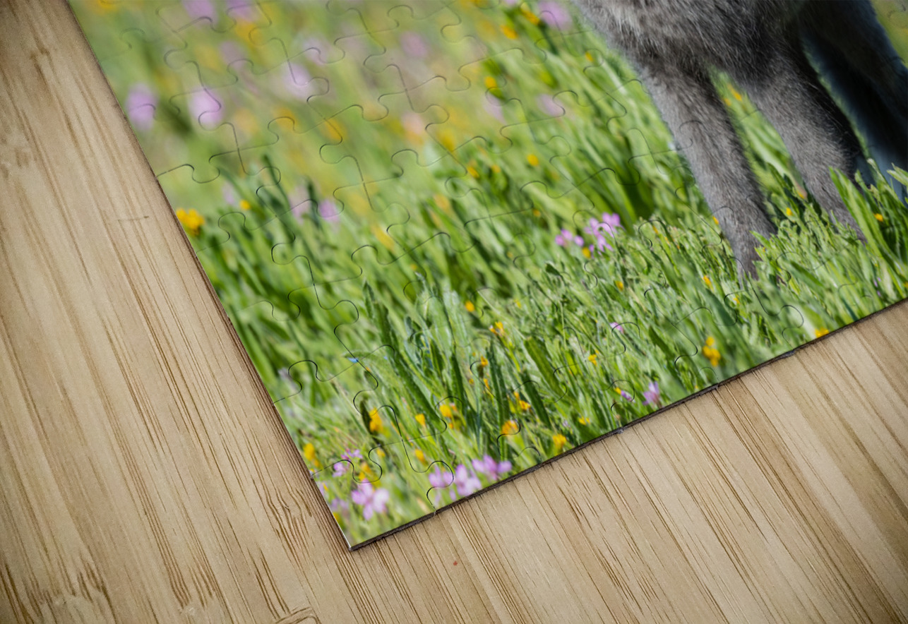 Red Fox Kit Randy Tremblay Photography Puzzle