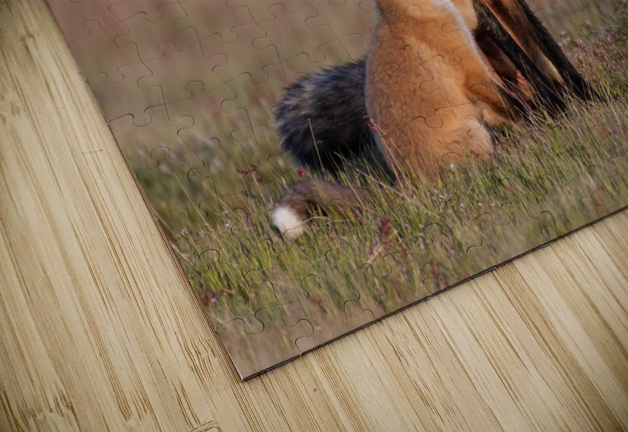 Red Fox with Kit Randy Tremblay Photography Puzzle
