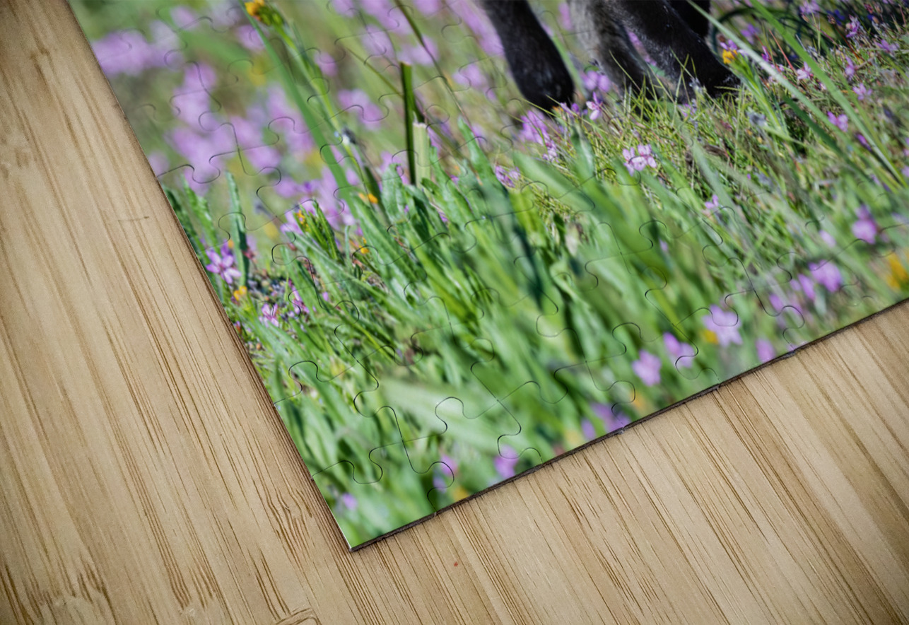 Red Fox Kit Randy Tremblay Photography Puzzle