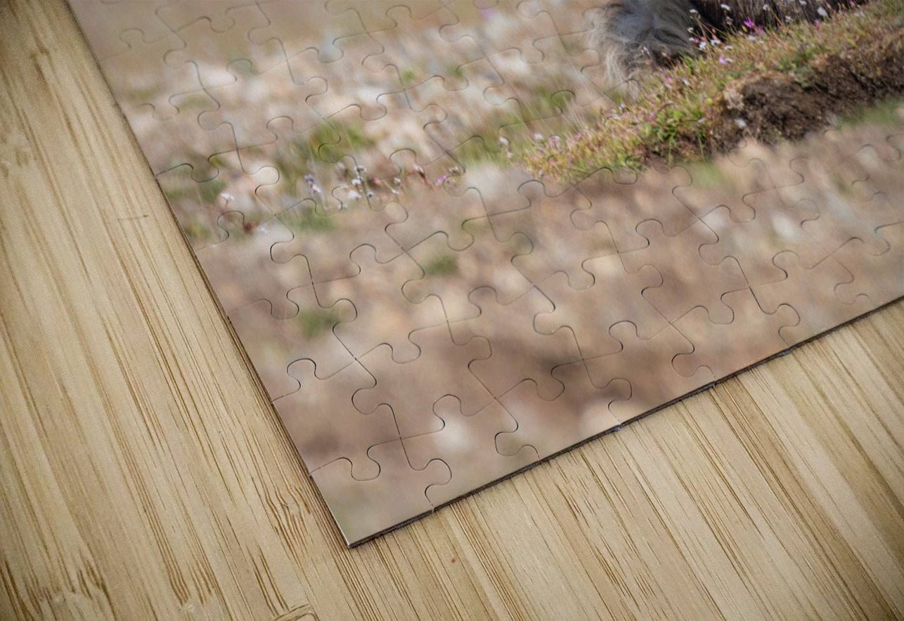 Red Fox with Kit Randy Tremblay Photography Puzzle