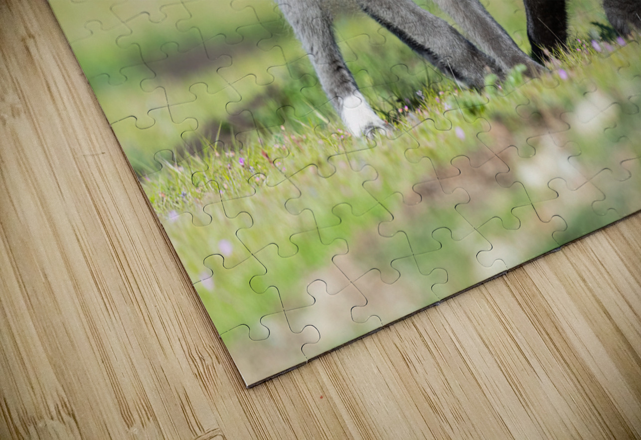 Red Fox Kits Randy Tremblay Photography Puzzle