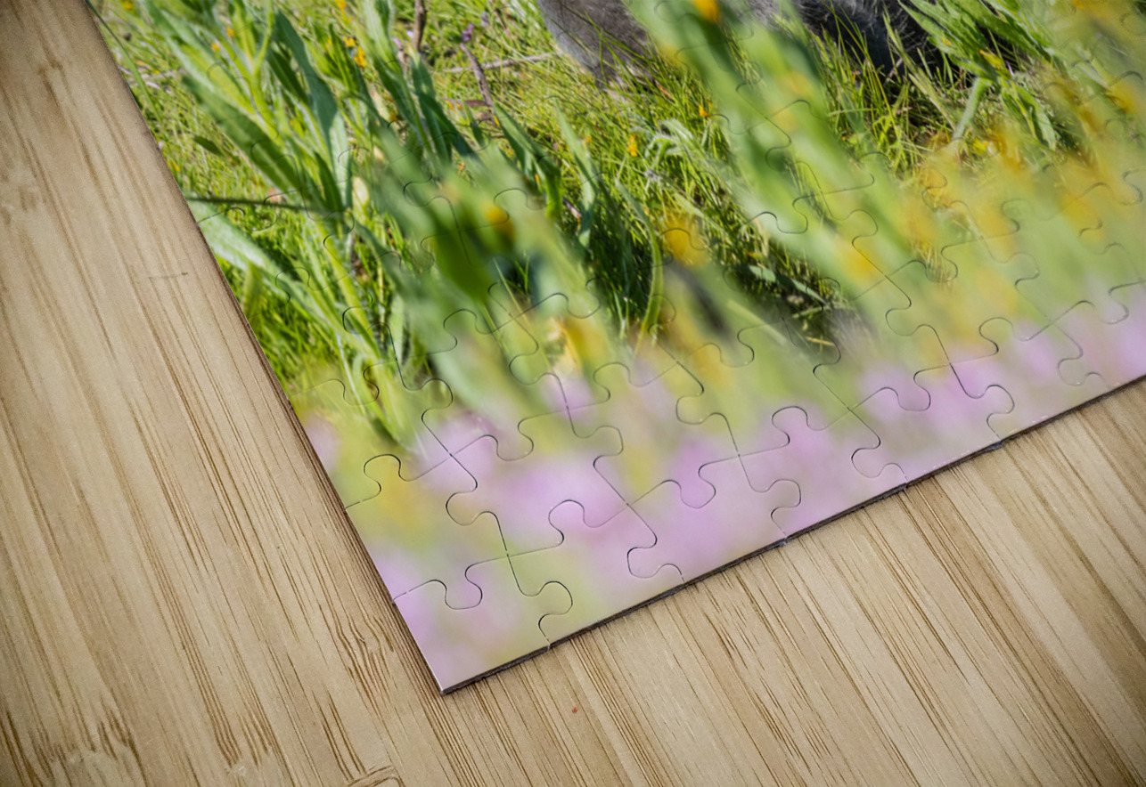 Red Fox Kit Randy Tremblay Photography Puzzle