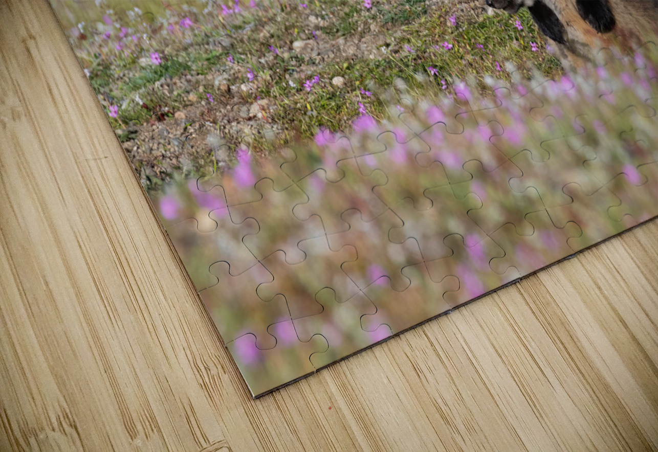 Red Fox Kits Randy Tremblay Photography Puzzle