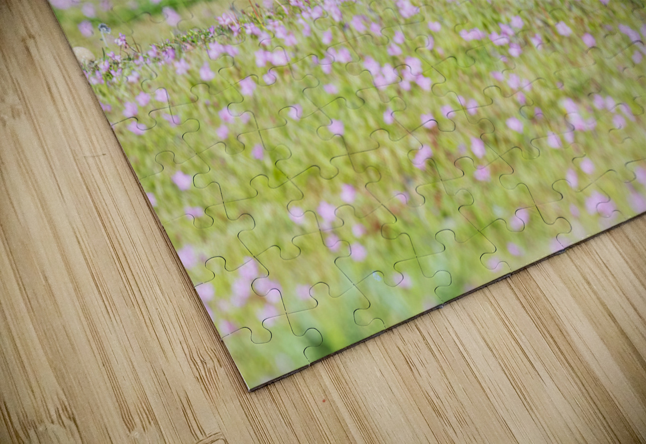 Red Fox Kit Randy Tremblay Photography Puzzle