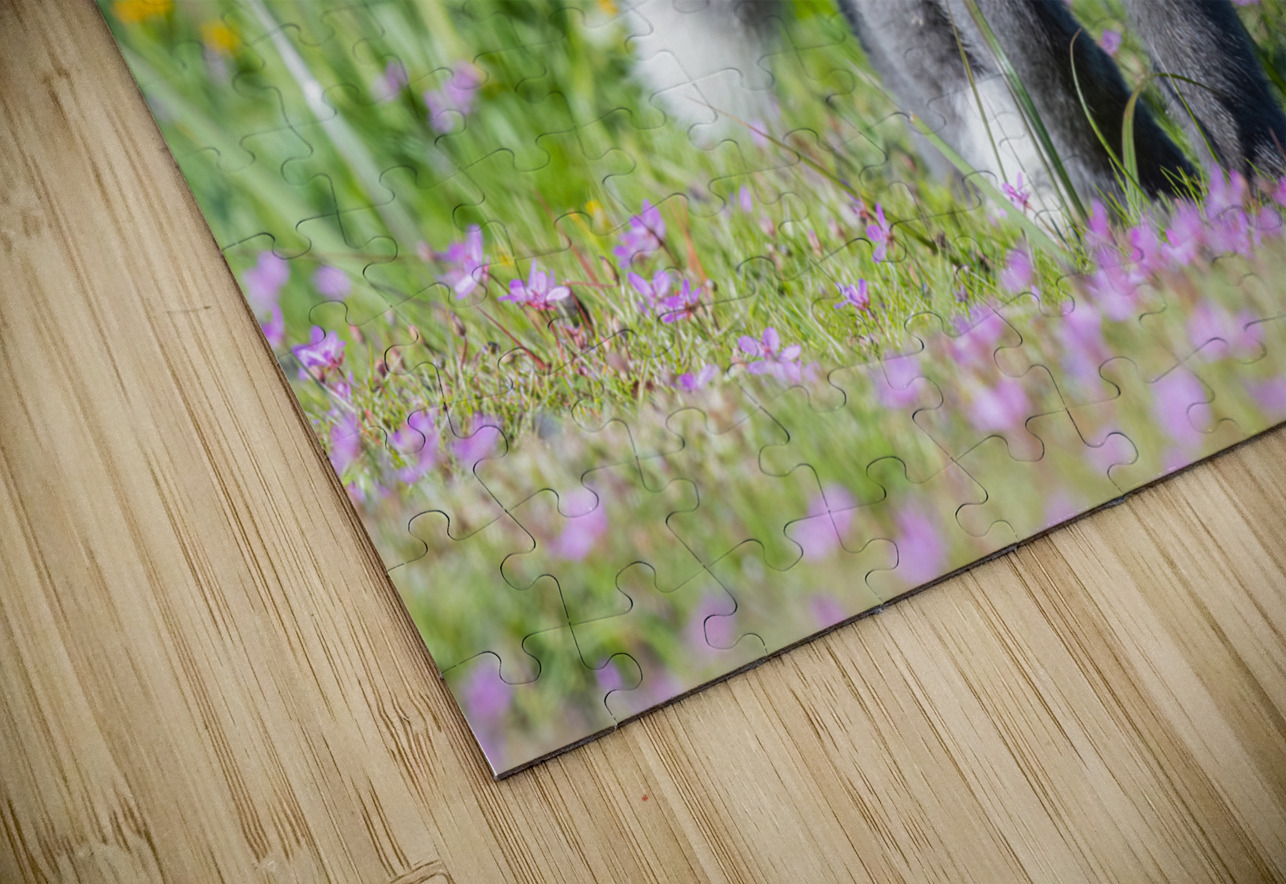 Red Fox Kit Randy Tremblay Photography Puzzle