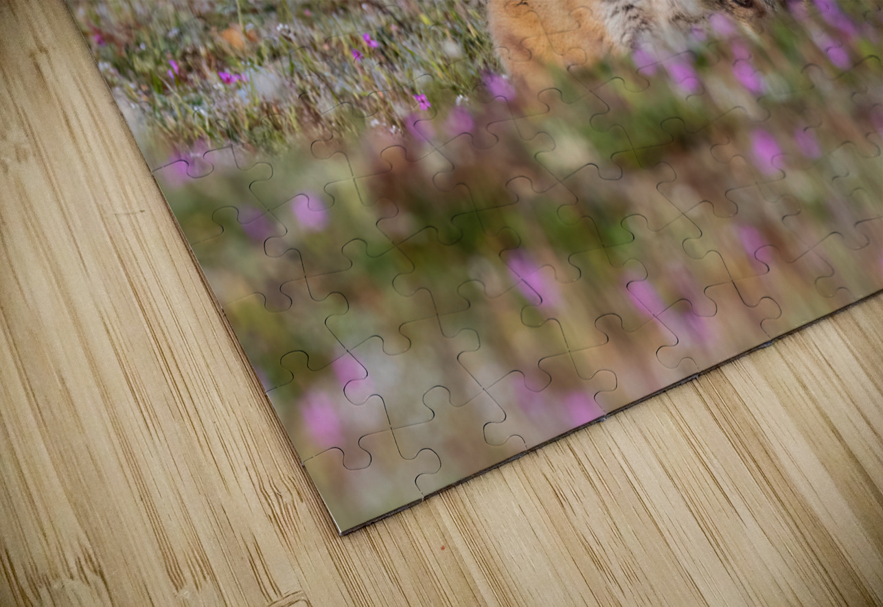 Red Fox Kits Randy Tremblay Photography Puzzle