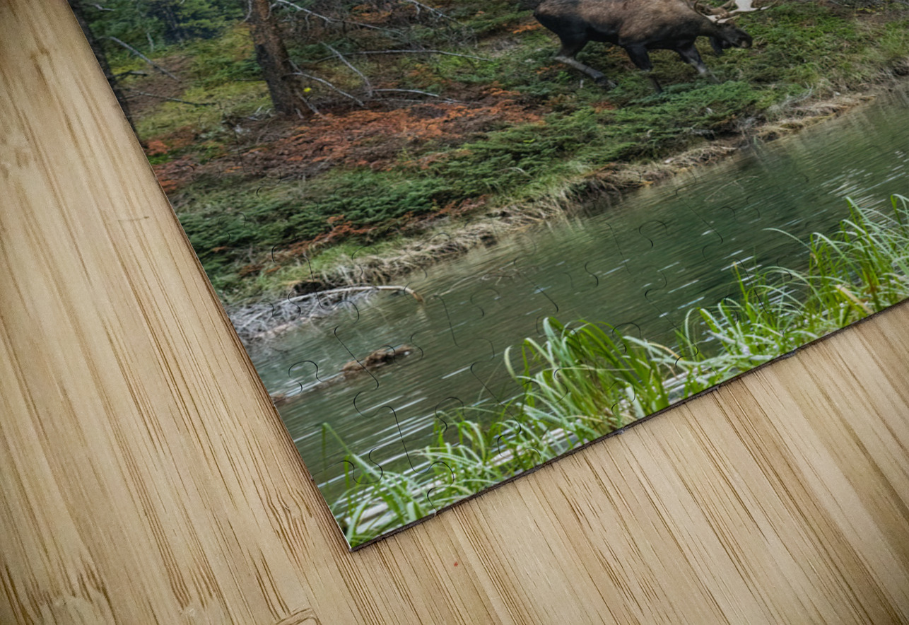 Bull Moose Randy Tremblay Photography Puzzle