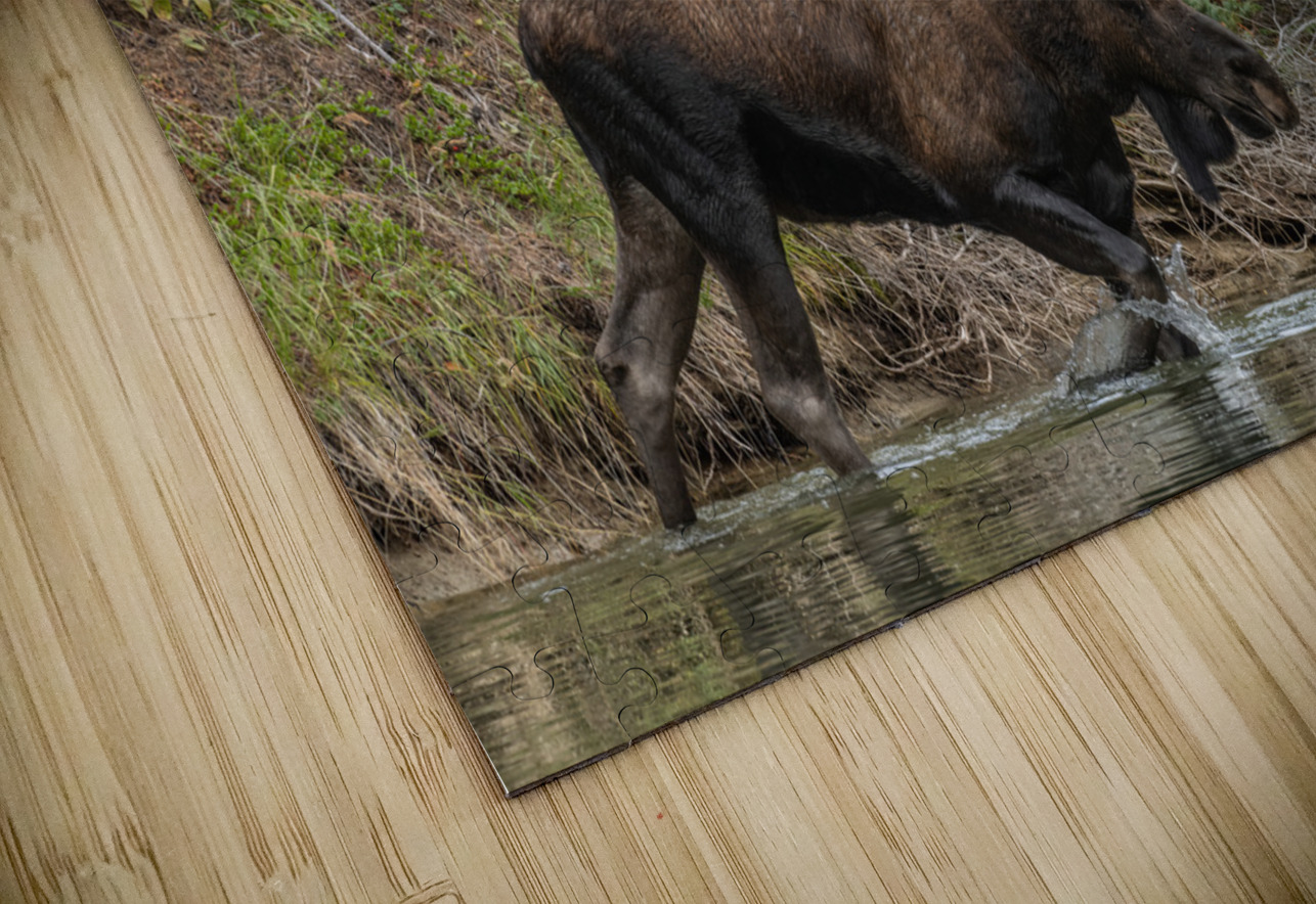 Bull Moose Randy Tremblay Photography Puzzle