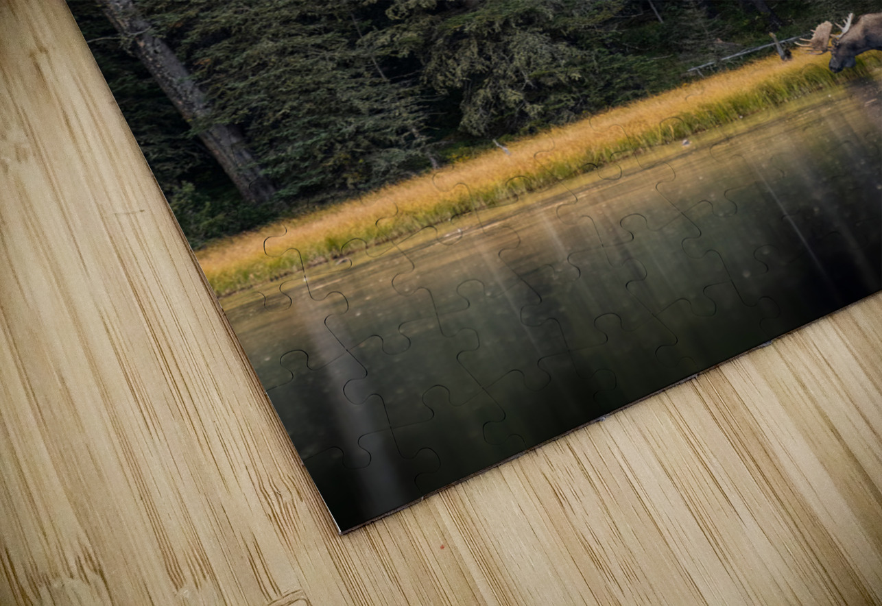 Bull Moose Randy Tremblay Photography Puzzle