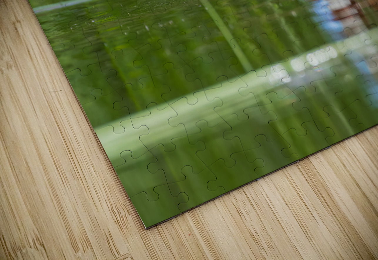 Male Ruddy Duck Randy Tremblay Photography Puzzle