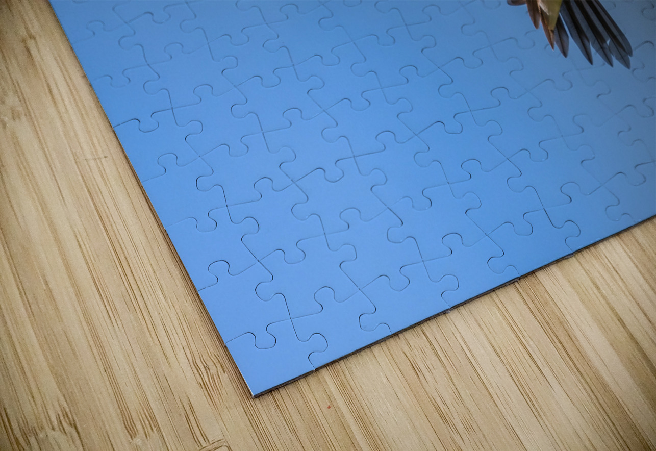 Male Calliope Hummingbird Randy Tremblay Photography Puzzle