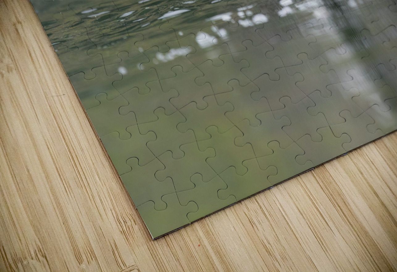 Common Loon Randy Tremblay Photography Puzzle