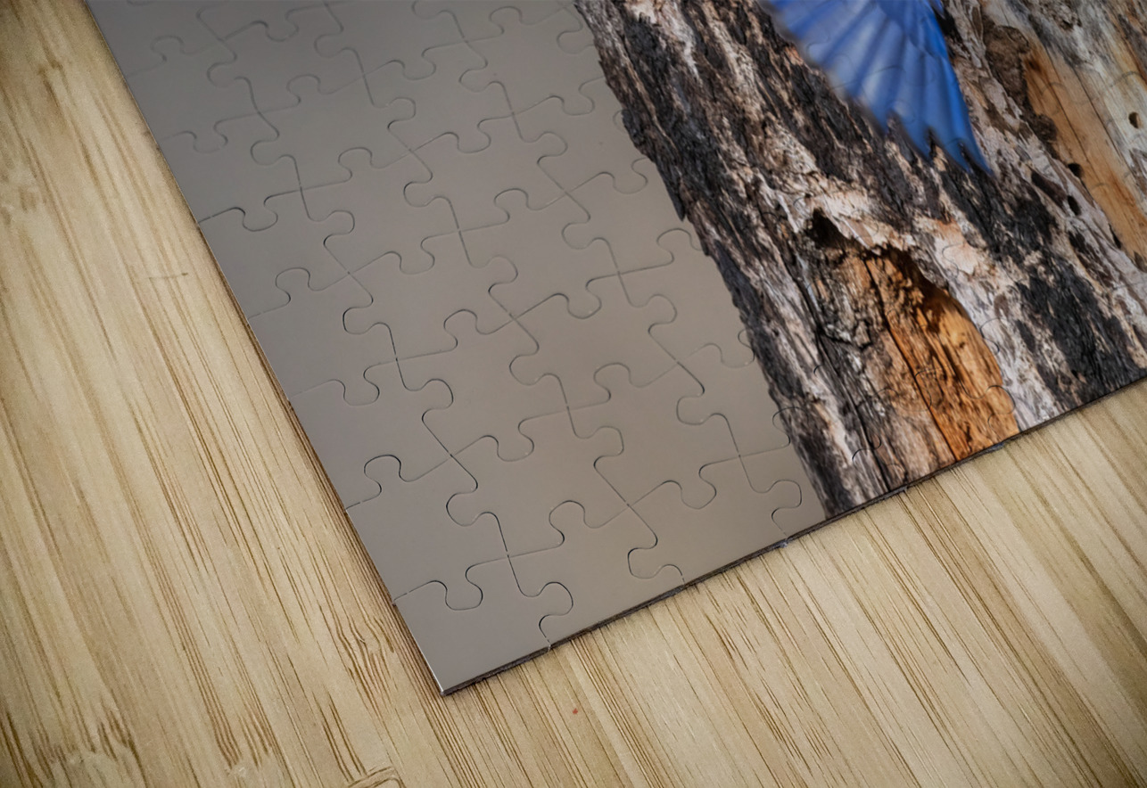 Western Bluebirds Randy Tremblay Photography Puzzle