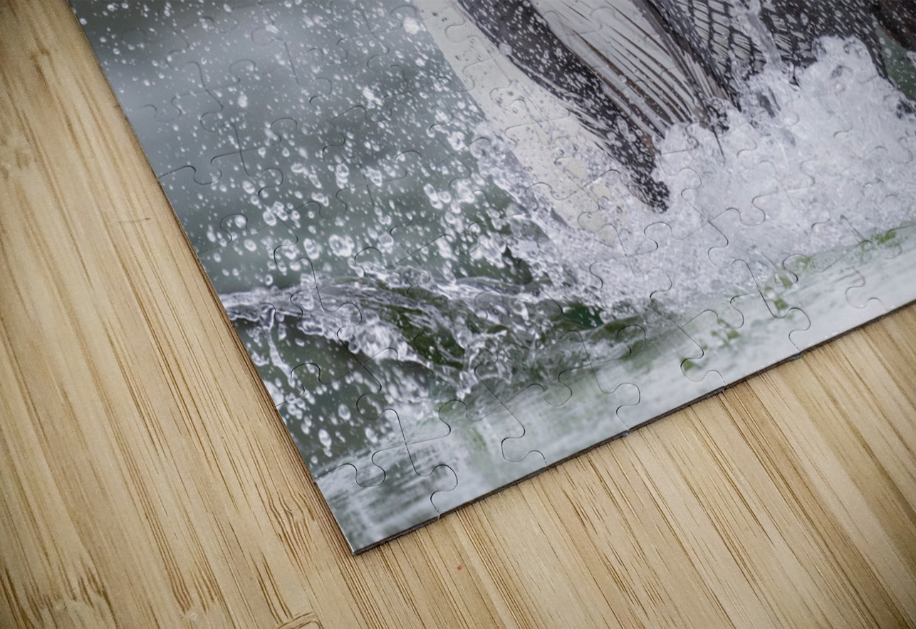 Common Loon Randy Tremblay Photography Puzzle