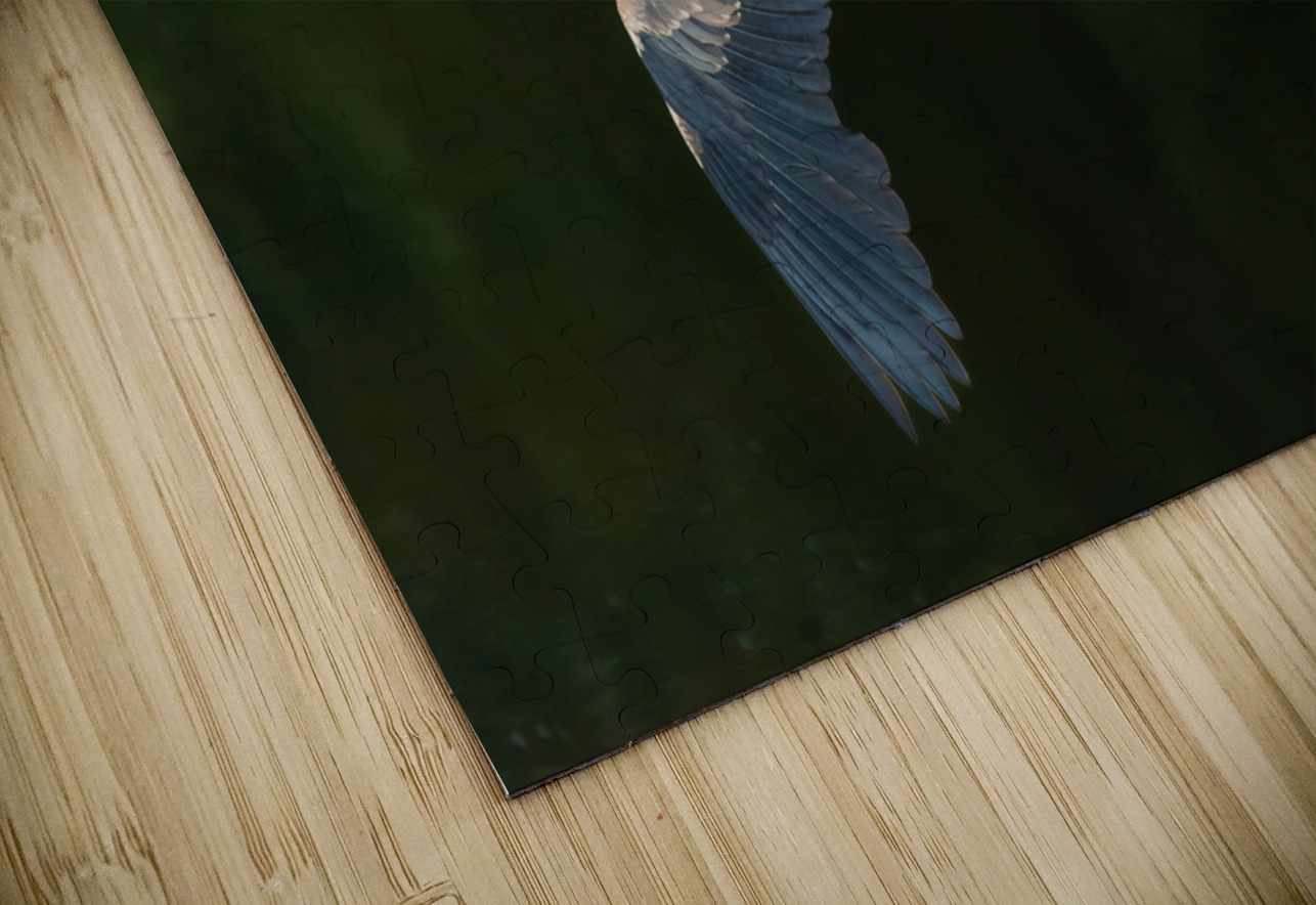 Great Blue Heron Randy Tremblay Photography Puzzle