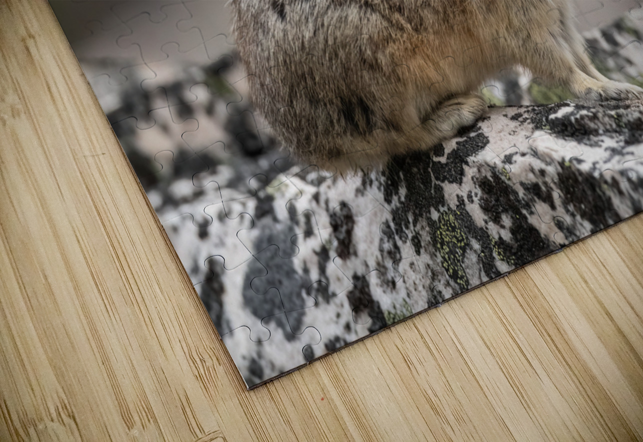 American Pika Randy Tremblay Photography Puzzle