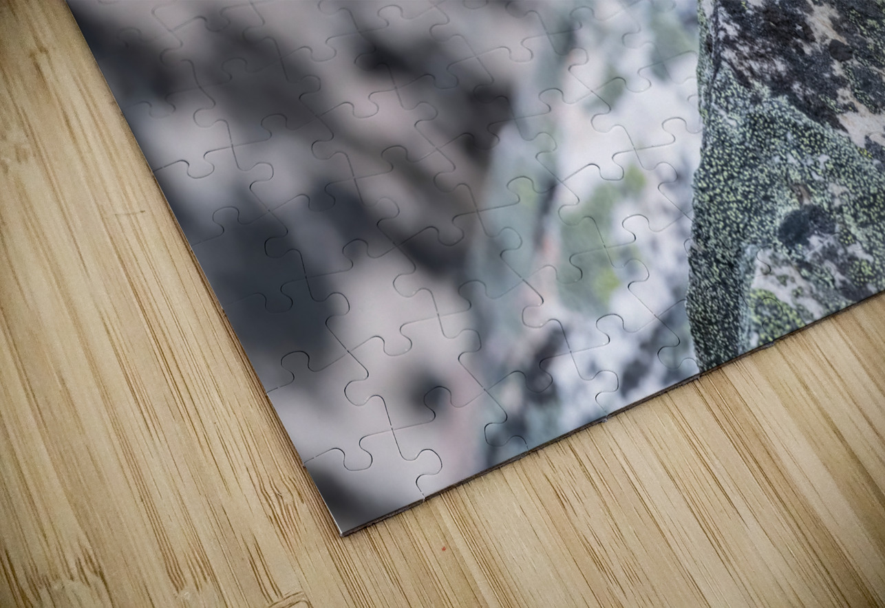 American Pika Randy Tremblay Photography Puzzle