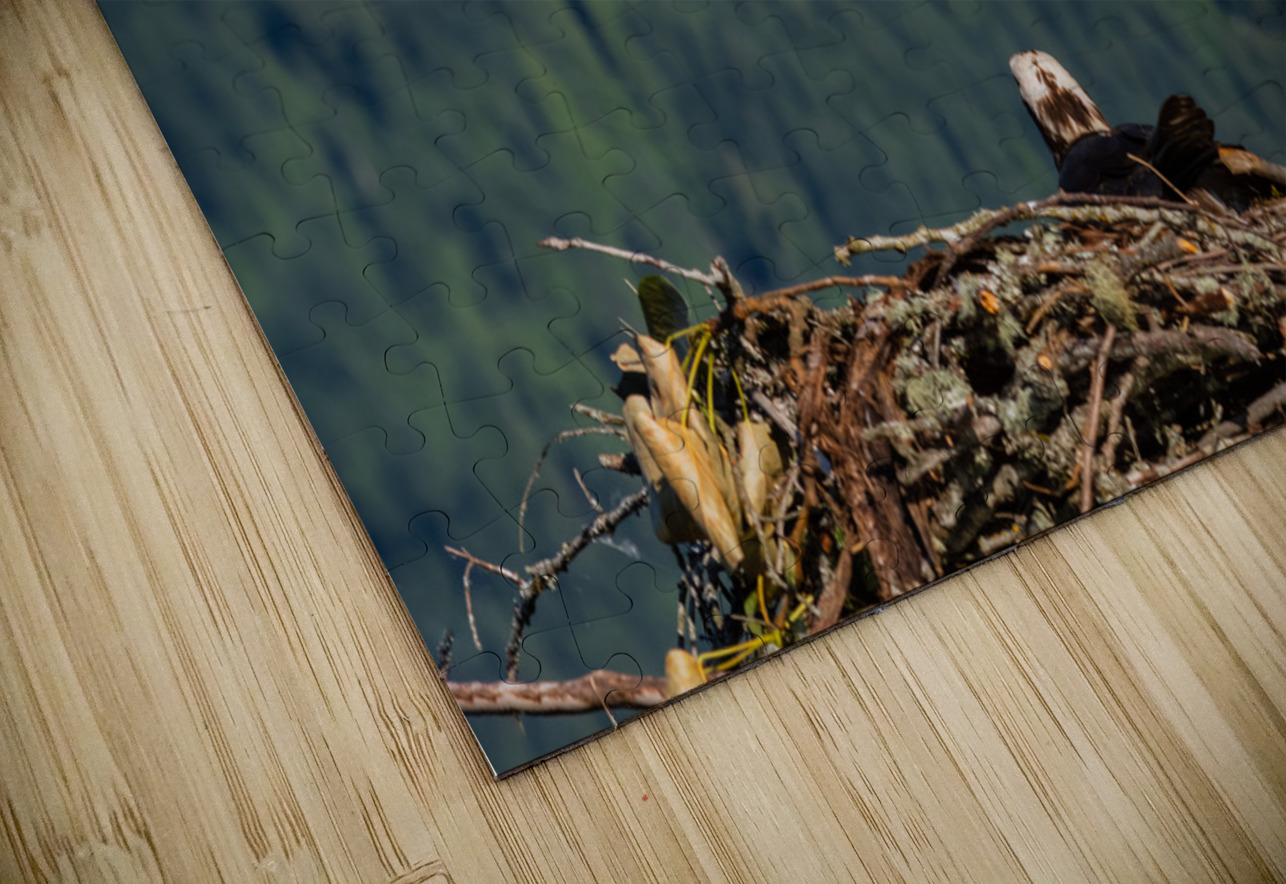 Osprey Randy Tremblay Photography Puzzle