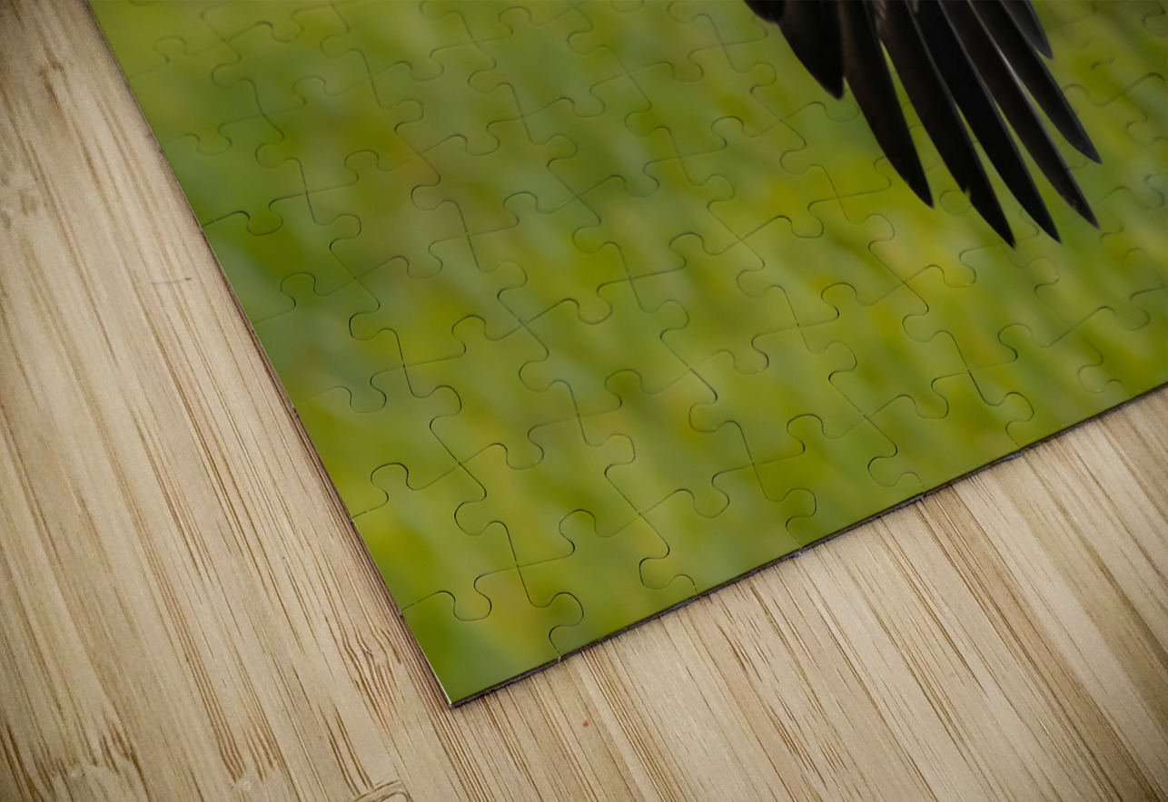 Bald Eagle Randy Tremblay Photography Puzzle