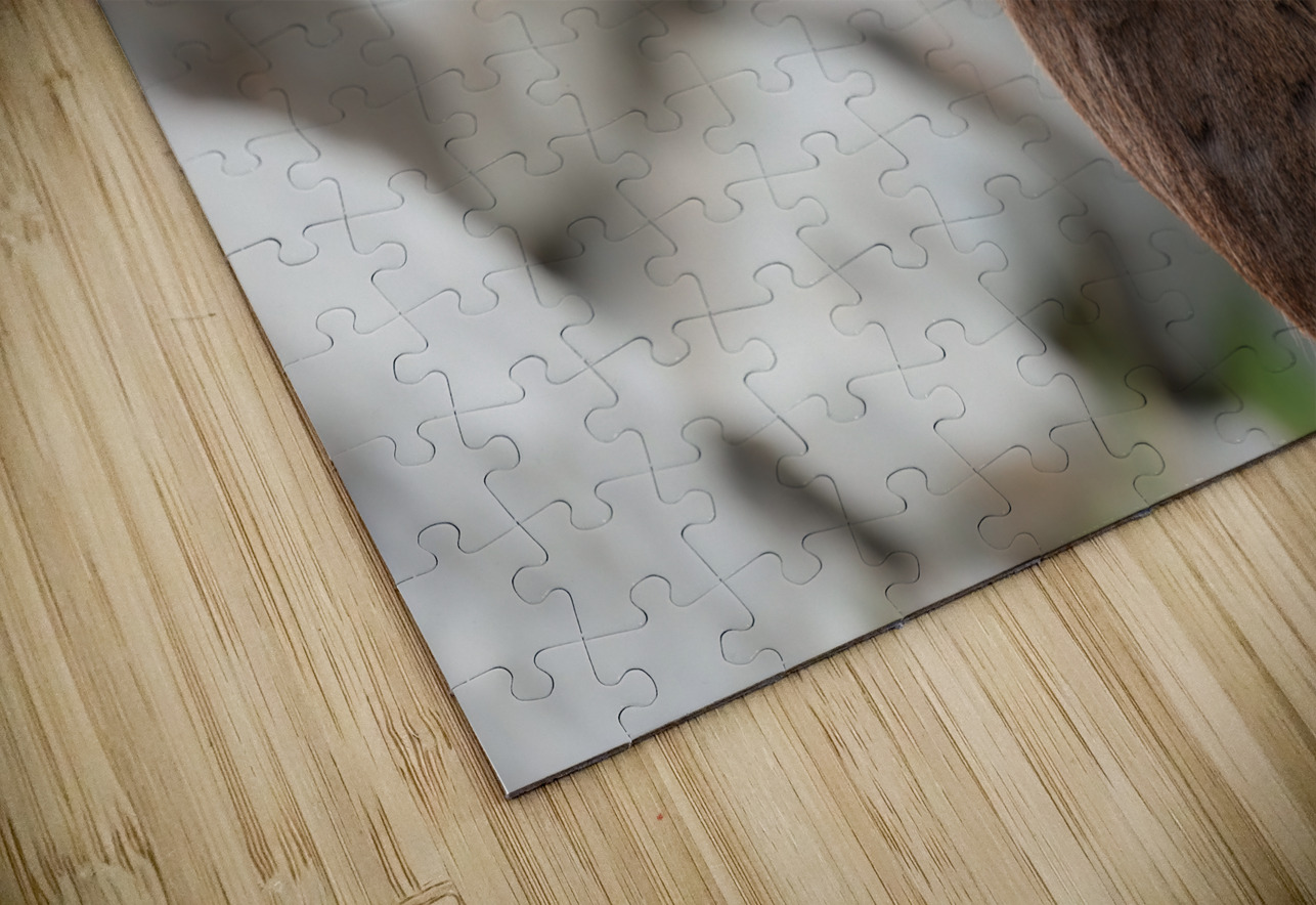 Bighorn Ram Randy Tremblay Photography Puzzle