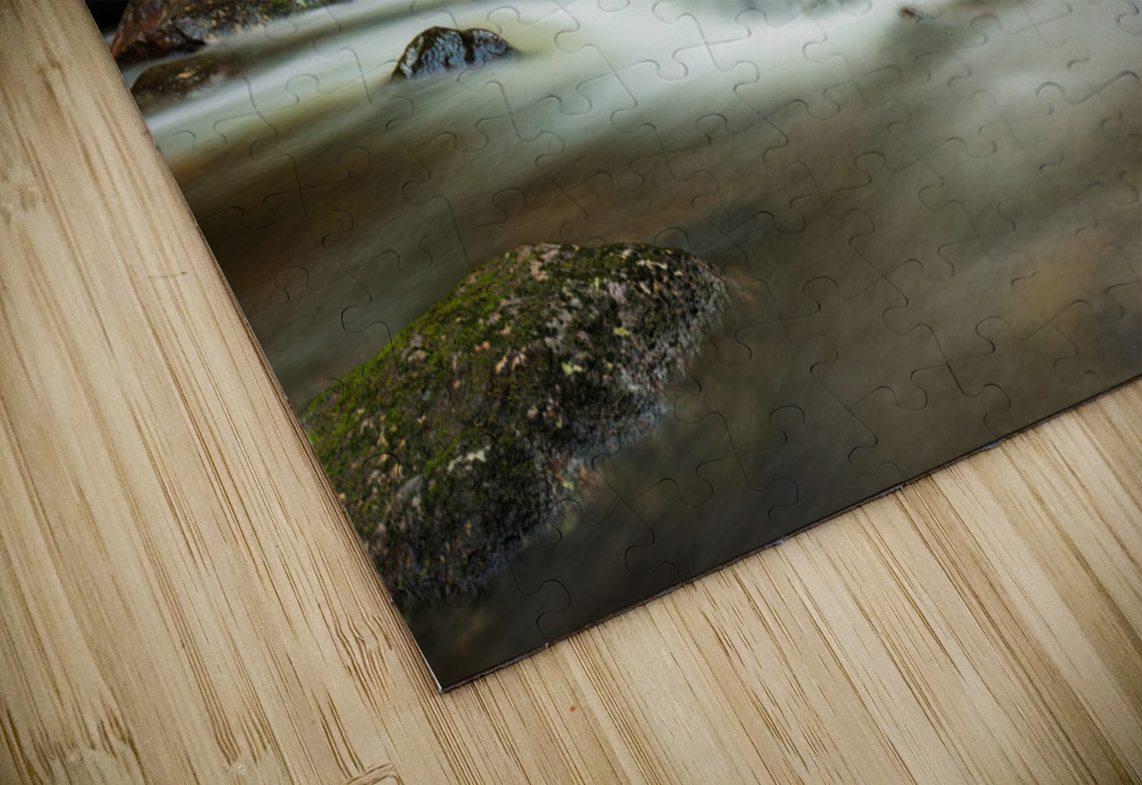 Forest Stream Randy Tremblay Photography Puzzle