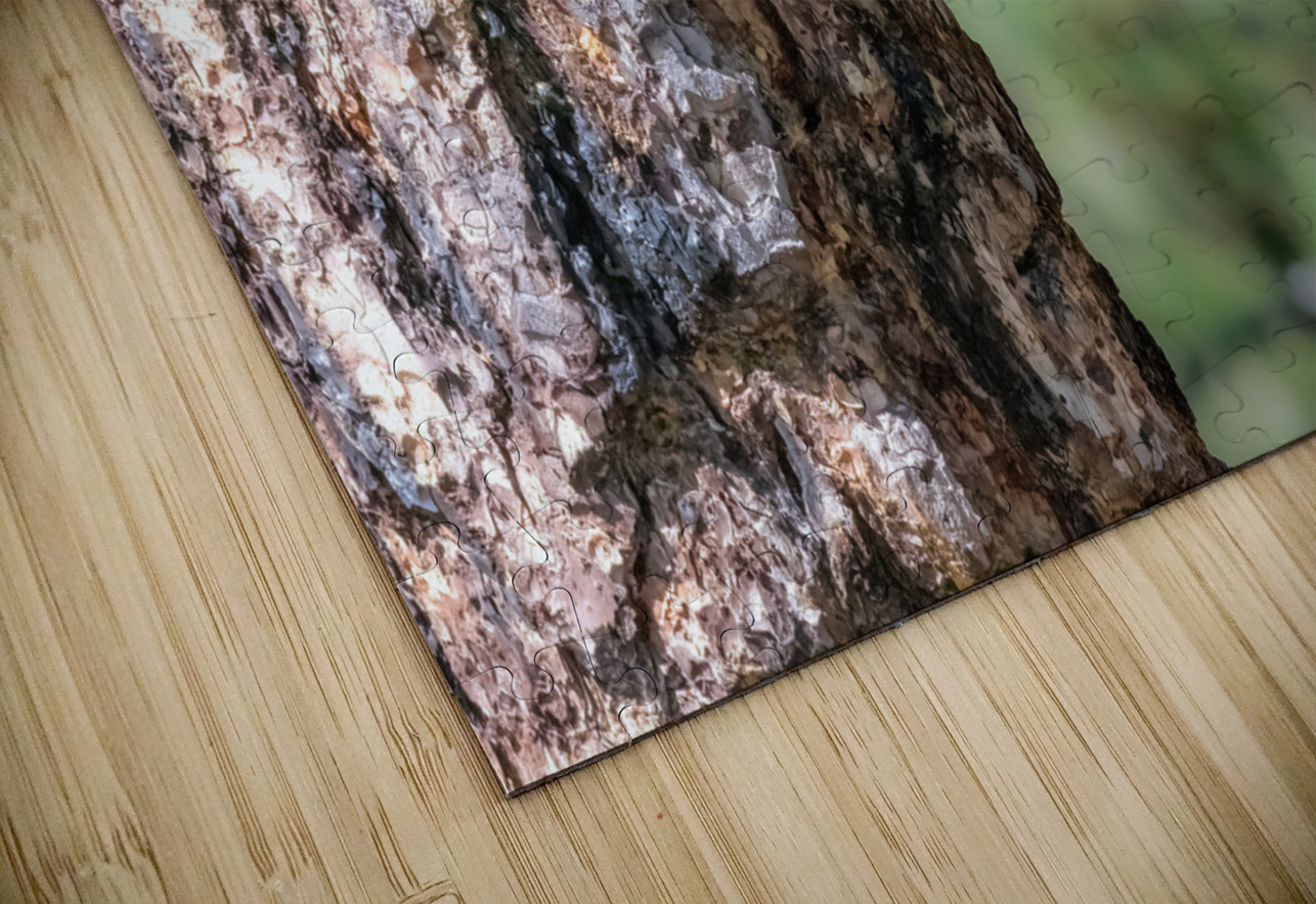 Northern Pygmy Owl Randy Tremblay Photography Puzzle