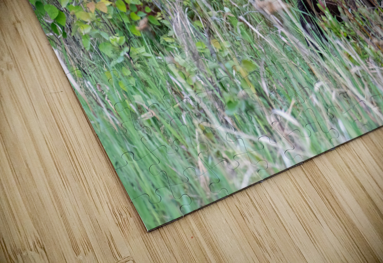 Grizzly Cub Randy Tremblay Photography Puzzle