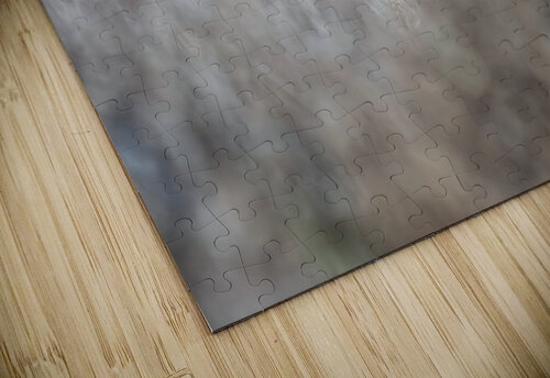 Short-eared Owl Randy Tremblay Photography puzzle