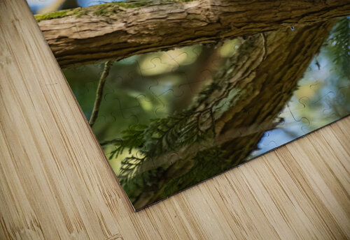 Great Horned Owl Randy Tremblay Photography puzzle