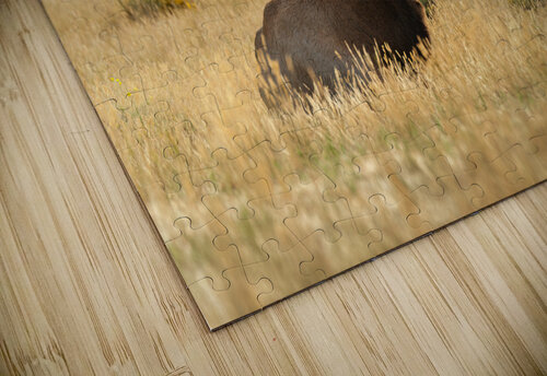 Bull Elk Randy Tremblay Photography puzzle