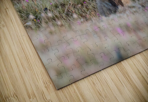 Red Fox Kit Randy Tremblay Photography puzzle