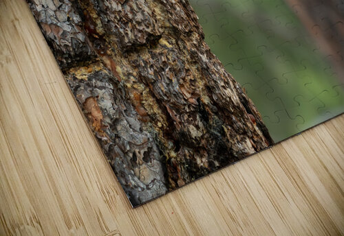 Northern Pygmy Owl Randy Tremblay Photography puzzle