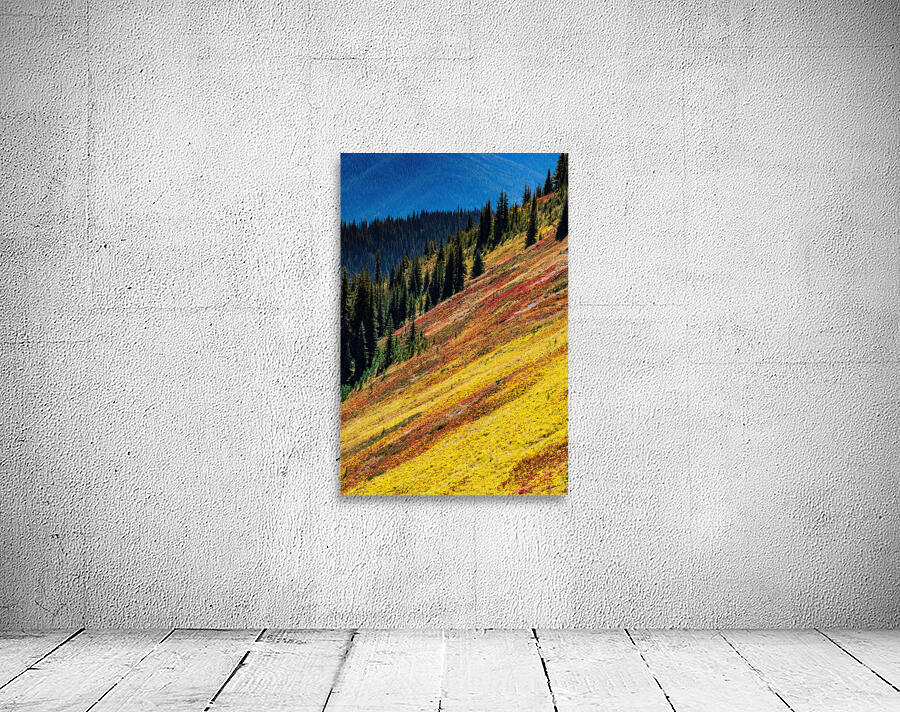 Mountain Wild Flowers Wall Preview