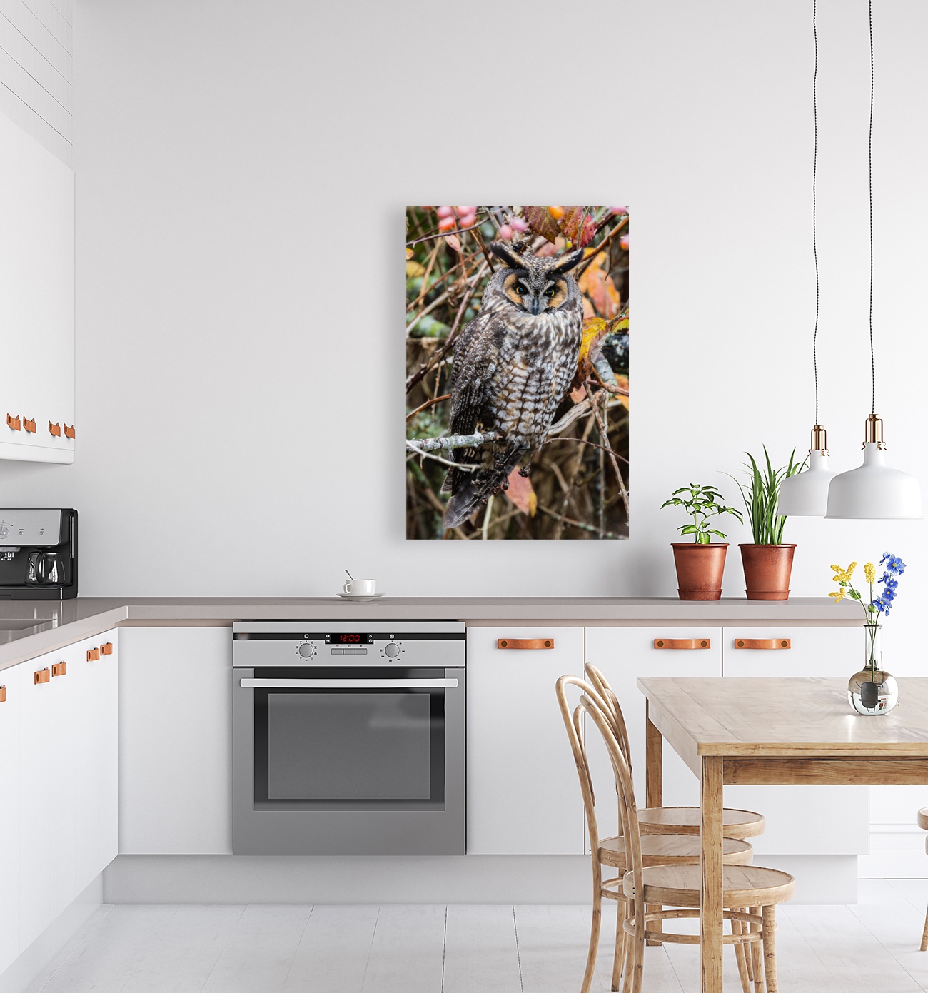 Long-eared Owl Reproduction