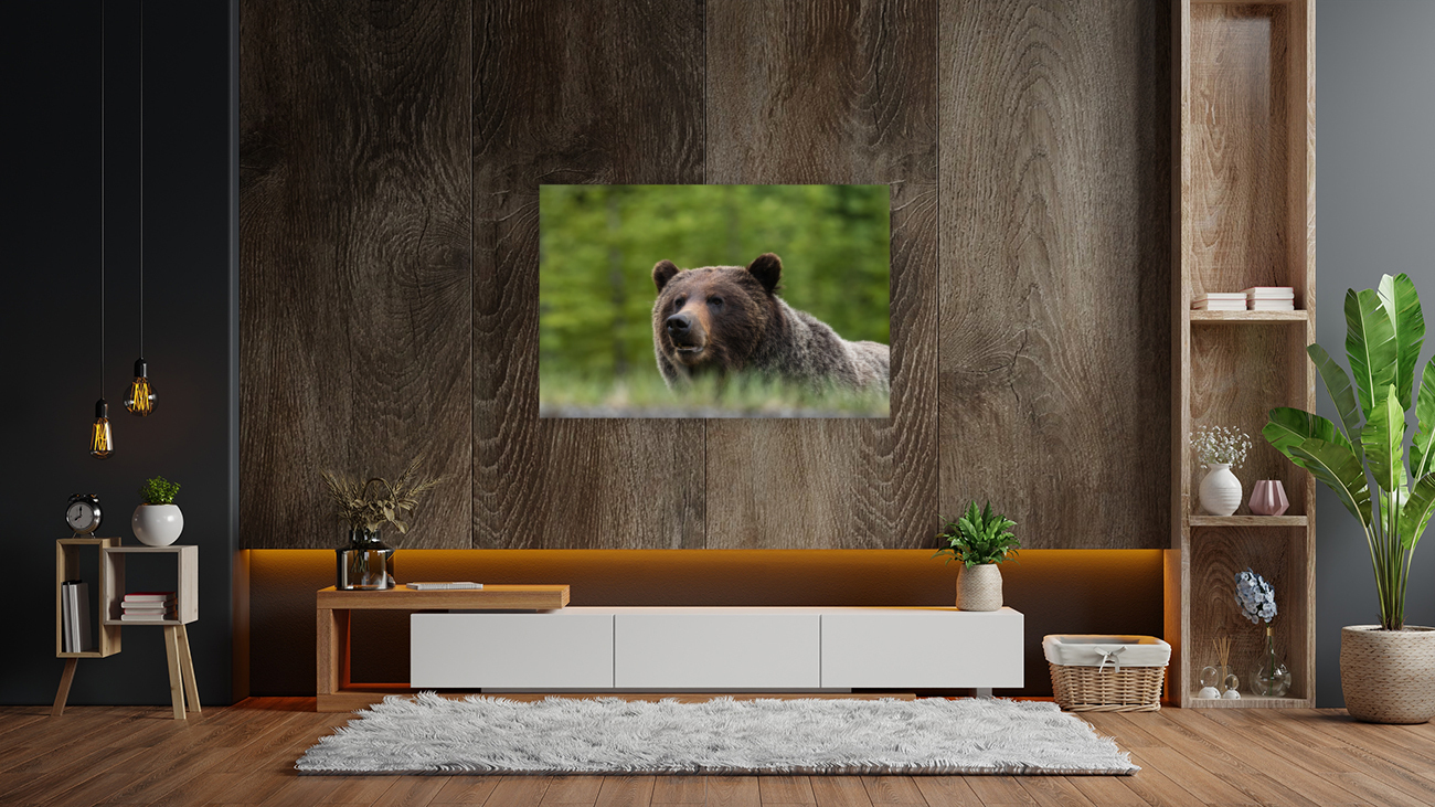 Grizzly Boar Reproduction