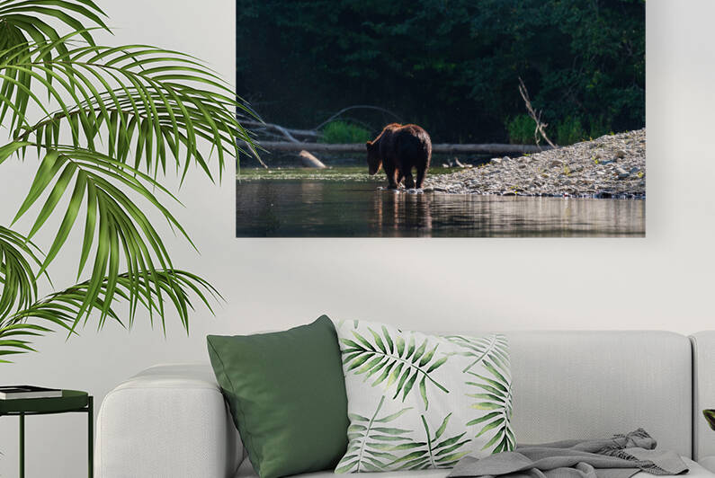 Grizzly Sow by Randy Tremblay Photography