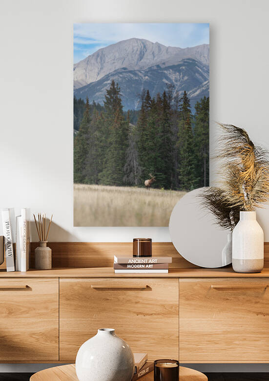 Bull Elk by Randy Tremblay Photography