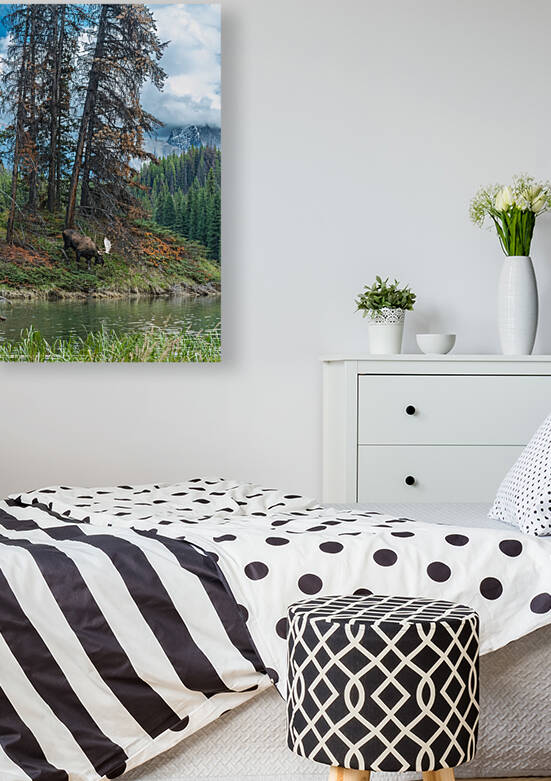 Bull Moose by Randy Tremblay Photography