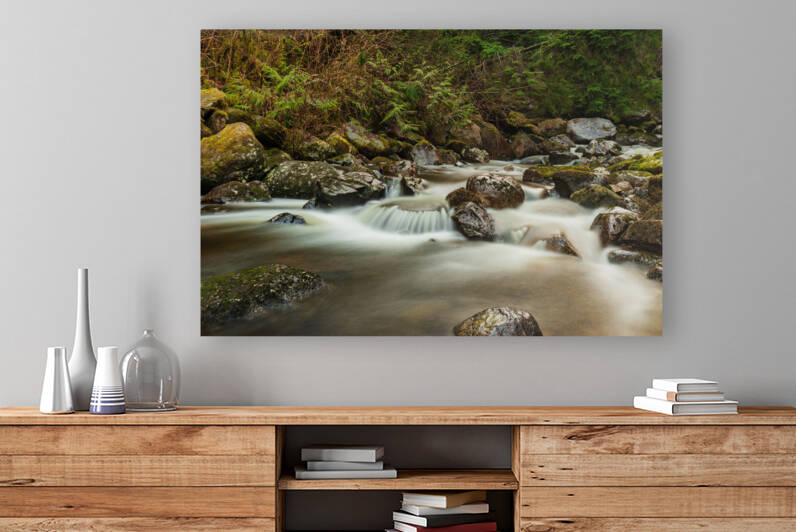 Forest Stream by Randy Tremblay Photography