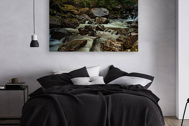 Forest Stream by Randy Tremblay Photography