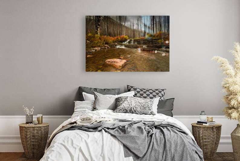 Mountain Stream by Randy Tremblay Photography