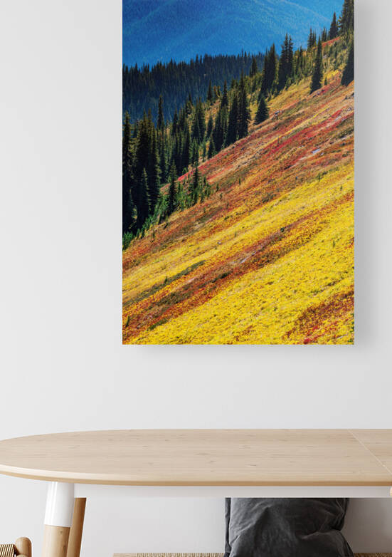 Mountain Wild Flowers by Randy Tremblay Photography