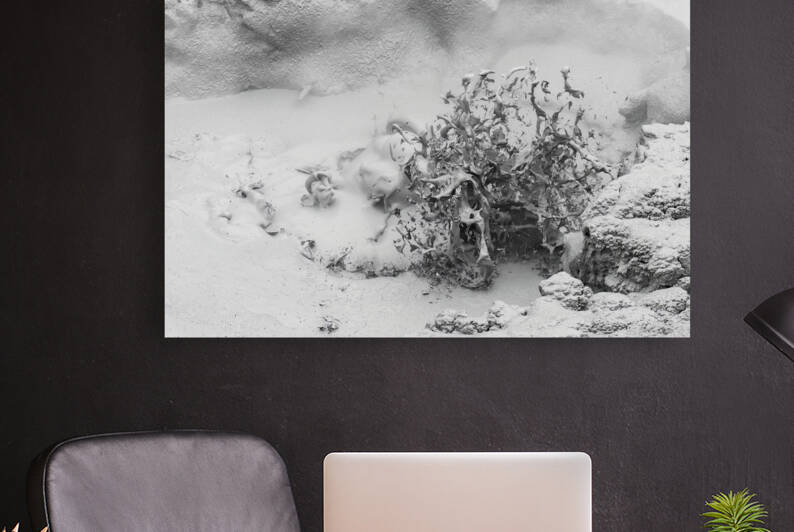 Thermal Mud Eruption by Randy Tremblay Photography